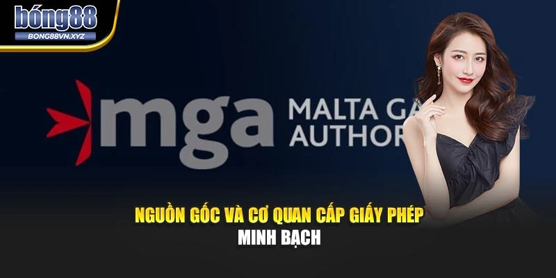 Nguồn gốc và cơ quan cấp giấy phép minh bạch