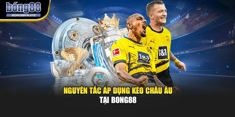 Nguyên tắc áp dụng kèo châu âu tại BONG88