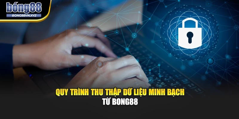 Quy trình thu thập dữ liệu minh bạch từ BONG88